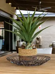 Wild Heart Safari Lodge | Hoedspruit Wildlife Estate