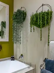 Wild Heart Safari Lodge | Hoedspruit Wildlife Estate