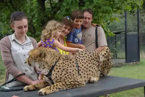 Moholoholo Wildlife Rehabilitation Centre