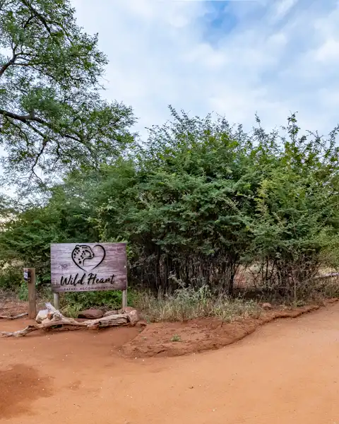 Wild Heart Safari Lodge | Hoedspruit Wildlife Estate