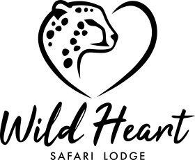 Wild Heart Safari Lodge