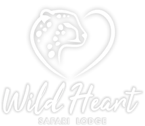 Wild Heart Safari Lodge