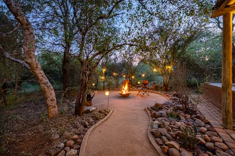 Lion's Den | Wild Heart Safari Lodge