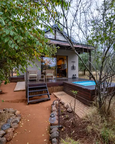 Lion's Den | Wild Heart Safari Lodge