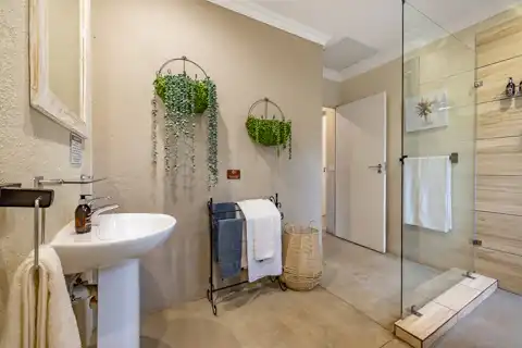 Lion's Den | Wild Heart Safari Lodge