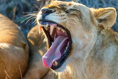 © The Guys - Professional Photographers & Designers - www.theguys.co.za