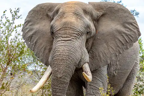 © The Guys - Professional Photographers & Designers - www.theguys.co.za