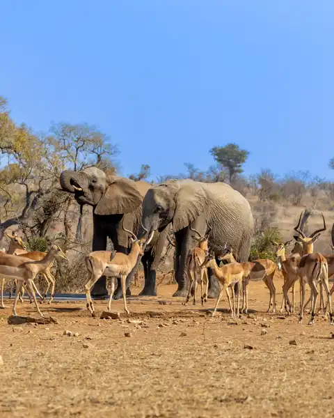 © The Guys - Professional Photographers & Designers - www.theguys.co.za