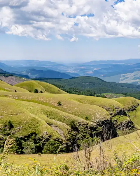 © The Guys - Professional Photographers & Designers - www.theguys.co.za