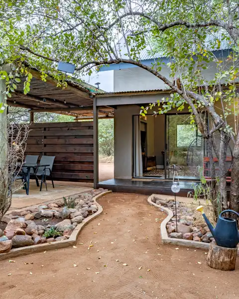 Zesty Zebra | Wild Heart Safari Lodge