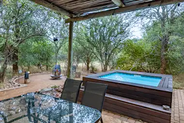 Zesty Zebra | Wild Heart Safari Lodge