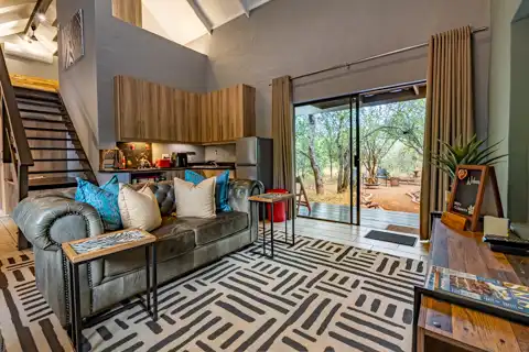 Zesty Zebra | Wild Heart Safari Lodge