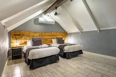 Zesty Zebra | Wild Heart Safari Lodge