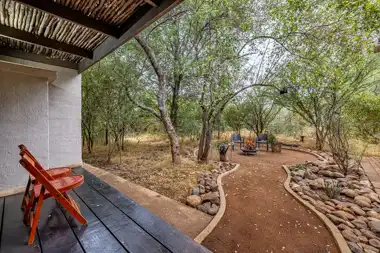 Zesty Zebra | Wild Heart Safari Lodge